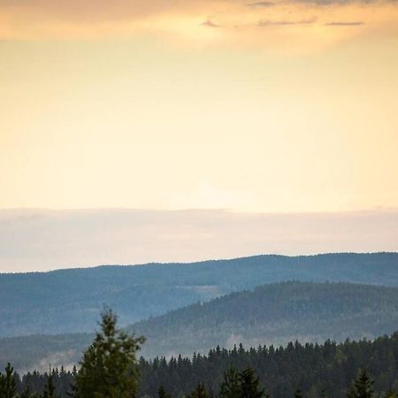 Langroesta; Ruime Blokhut Grenzend Aan Bos Villa Hagfors Bagian luar foto