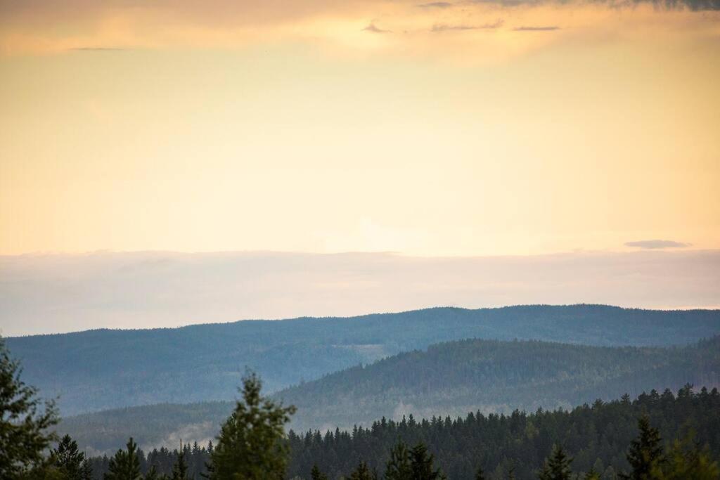 Langroesta; Ruime Blokhut Grenzend Aan Bos Villa Hagfors Bagian luar foto