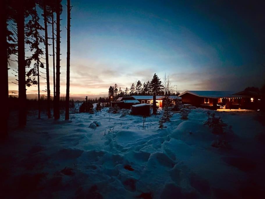 Langroesta; Ruime Blokhut Grenzend Aan Bos Villa Hagfors Bagian luar foto