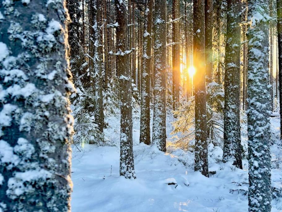 Langroesta; Ruime Blokhut Grenzend Aan Bos Villa Hagfors Bagian luar foto